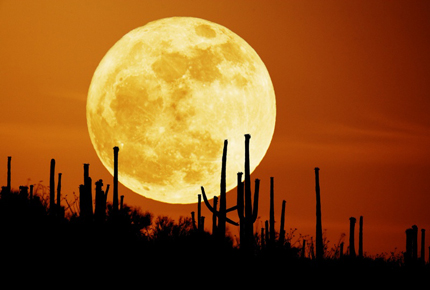 lua lua